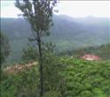 Plot for sale @ Ooty